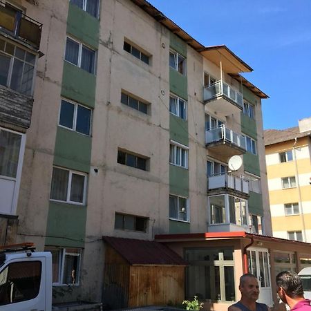 Apartamente Gildo 20 Borşa Zewnętrze zdjęcie
